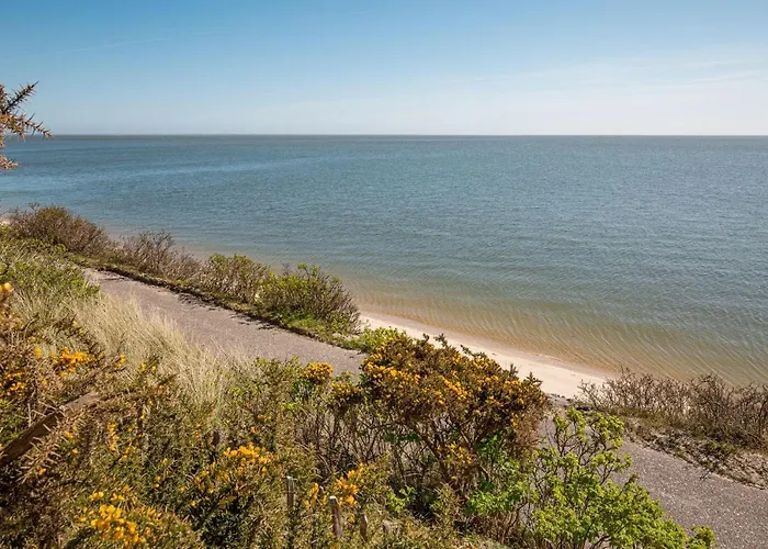 Ausblick - Jonna List